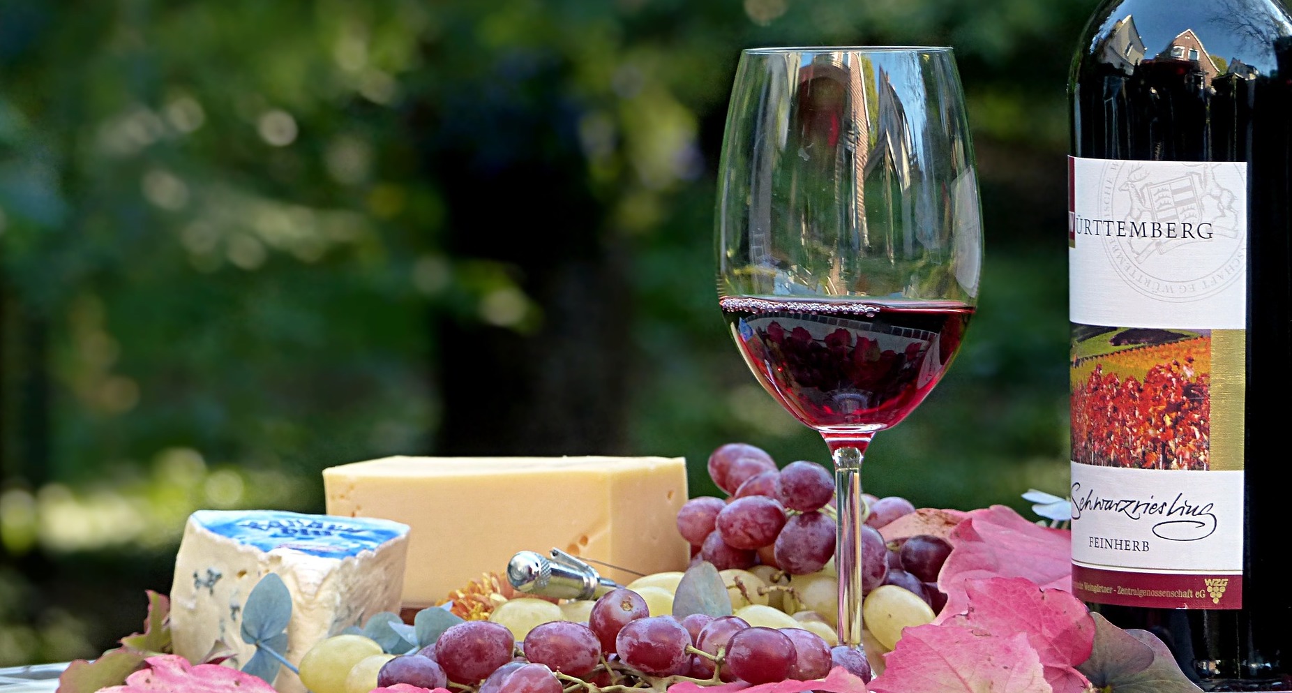 野中千恵ページ ゲスト：発酵菌活アドバイザー中村加津子さん＆野中千恵さん