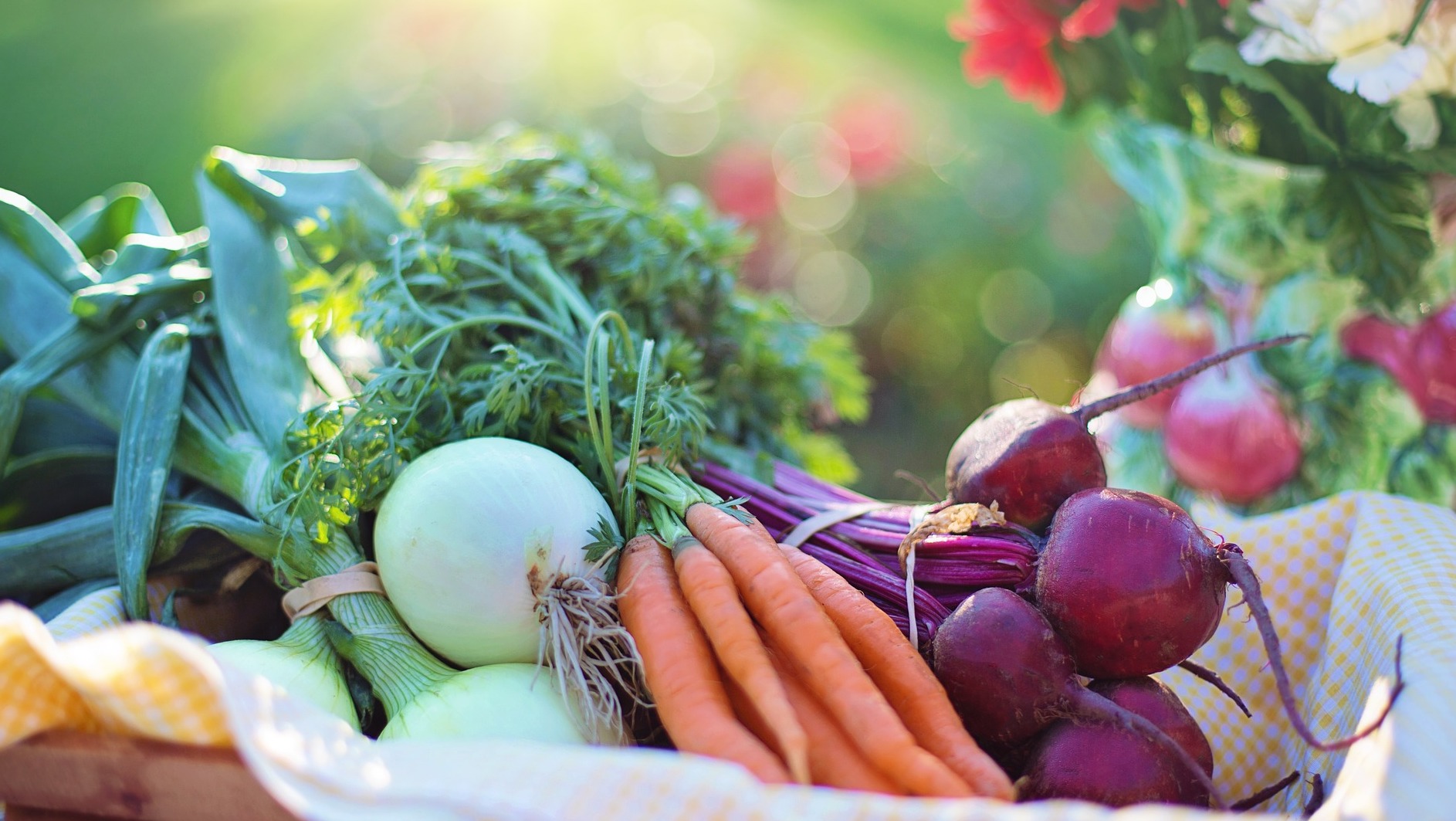 vegetables-2485055_1920